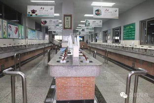 文化經紀促活力，文明創建譜新篇——大東坑的文化服務實踐