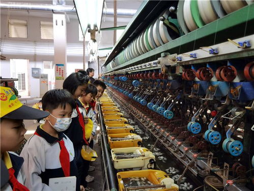 春日蠶桑研學，探秘絲織之美——記佛山南海絲廠文化之旅